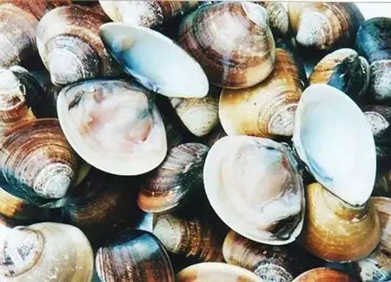 秋季最適合吃的海鮮是這10種 你吃對了嗎？
