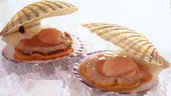 秋季最適合吃的海鮮是這10種 你吃對了嗎？