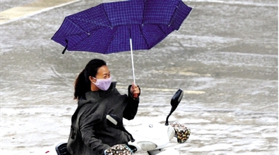 昨日下午，隴海路上，雨中風(fēng)大，一位女士的傘被吹翻了。