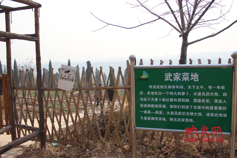 武家菜地就是這，據(jù)說里面有個特大的蘿卜