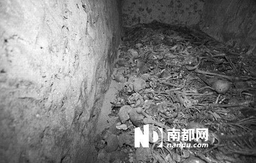 　5月29日，在以色列特拉維夫市雅法地區(qū)，一處集體墳?zāi)贡话l(fā)現(xiàn)。