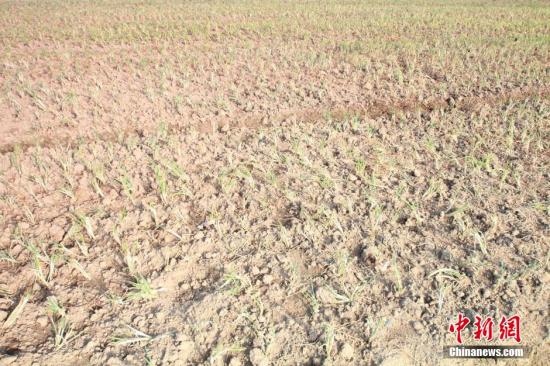 2014年7月31日早晨，浙江紹興市區(qū)蔬菜批發(fā)市場旁邊的土地已經(jīng)發(fā)生開裂。