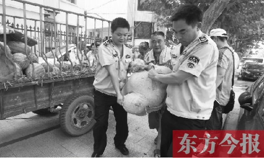 昨日，鄭州金水區(qū)執(zhí)法局的執(zhí)法隊(duì)員捐錢(qián)買(mǎi)瓜，替瓜農(nóng)解憂