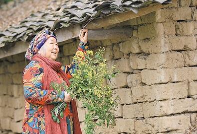 公式“時尚奶奶”的賞花照，收獲了好多人的點贊。 受訪者供圖