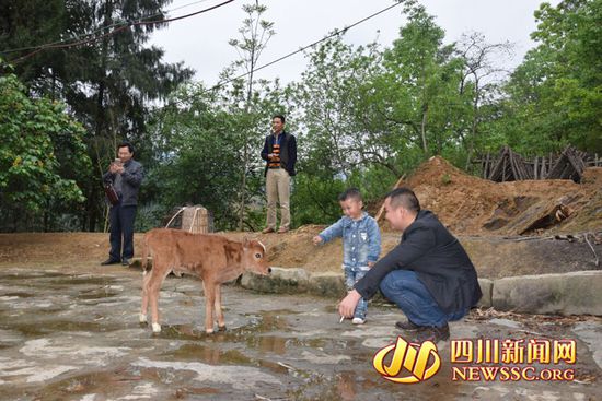 村里人知道后，前來看熱鬧