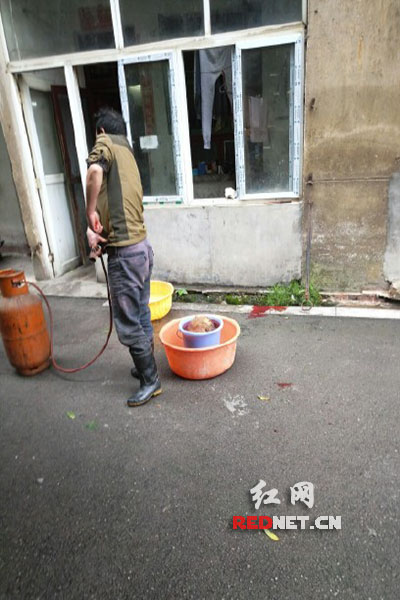 5月8日，男子在校園里殺狗，地上殘留一塊血跡。目擊者供圖。