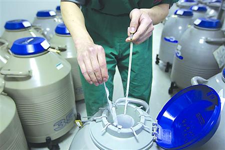 胚胎學(xué)家正從液氮罐里取出冷凍胚胎/采訪對(duì)象供圖