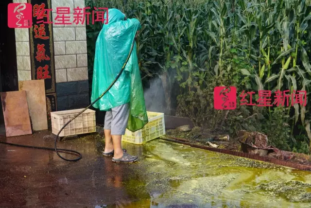 文玩核桃遇冷由幾萬一對降到5元沒人要？商戶否認(rèn)