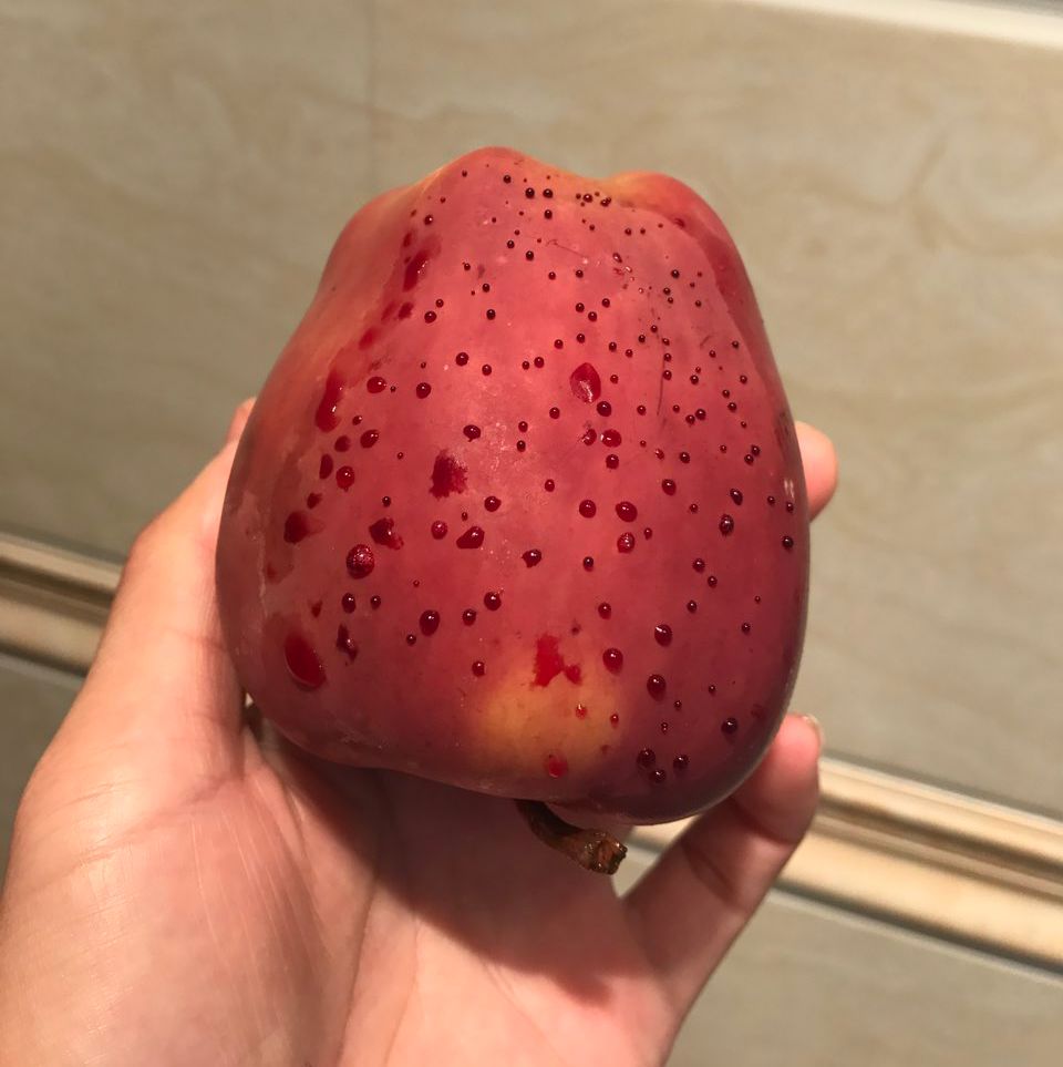 嚇懵！女子用熱水泡蘋果結(jié)果冒出血珠 咋回事？