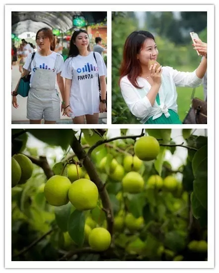 美女與香梨，你更愛哪一個(gè)？！