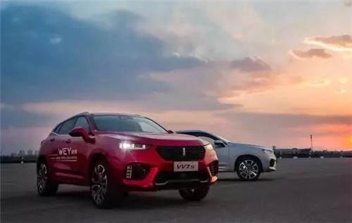 去年“蹦”出來的新汽車品牌們，現在活得怎么樣了？