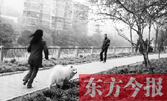 12月3日，鄭州市南關(guān)街熊兒河旁，一名遛狗的女子見到執(zhí)法人員檢查，迅速跑開