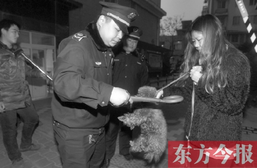 12月3日早上6點半，鄭州市南關(guān)街熊兒河旁，南關(guān)街辦事處的執(zhí)法人員對狗進行排查