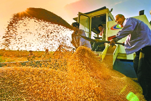 根據(jù)國(guó)家統(tǒng)計(jì)局核定結(jié)果，我省2012年糧食總產(chǎn)量達(dá)到1127.72億斤，成為第9個(gè)連續(xù)增產(chǎn)年份。
