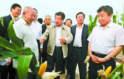 圖為回良玉在鄧州市腰店鄉(xiāng)草寺村視察萬畝玉米高產(chǎn)示范方。