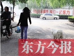 啟明一巷內(nèi)，一名女子帶著狗狗去買菜。狗隨地大小便，狗的主人未制止