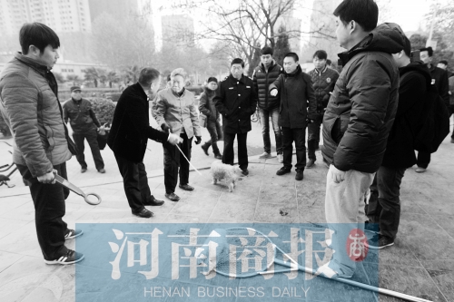 一只辦過狗證的小白狗，因?yàn)闆]有拴犬鏈，被執(zhí)法人員暫扣