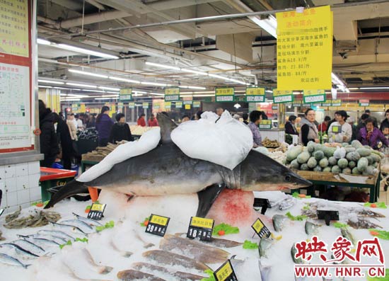 鄭州市一家超市海鮮區(qū)的冰架上赫然擺著一整條鯊魚在出售，鯊魚肉價(jià)格為23.80元每斤，遠(yuǎn)低于牛羊肉的價(jià)