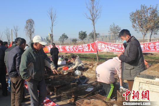 圖為百余名愛狗人士把老李的貨車攔截，數(shù)十人正在從貨車上卸下裝滿狗的鐵籠?！●R義恒　攝
