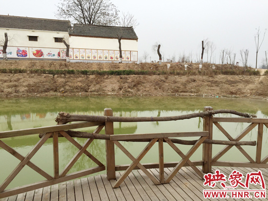 護(hù)欄損毀的地方，已經(jīng)被兩根樹干擋住。