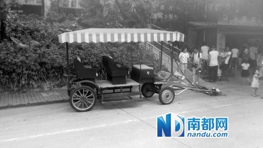 園方則稱(chēng)解剖后發(fā)現(xiàn)馬死于心臟衰竭，“與累無(wú)關(guān)”。