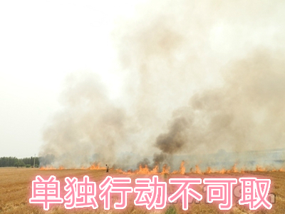不要單獨一個人亂沖亂打：單獨行動被煙氣沖昏倒地，無人發(fā)覺被燒；