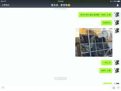 買家發(fā)現(xiàn)上當(dāng)受騙，賣家叫囂“報警也沒用”。