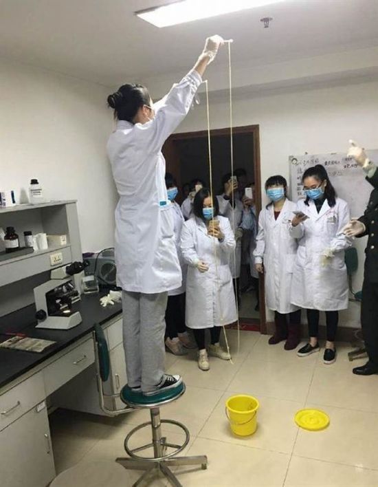 愛吃生肉惹的禍！男子體內(nèi)取出5米長寄生蟲(圖)