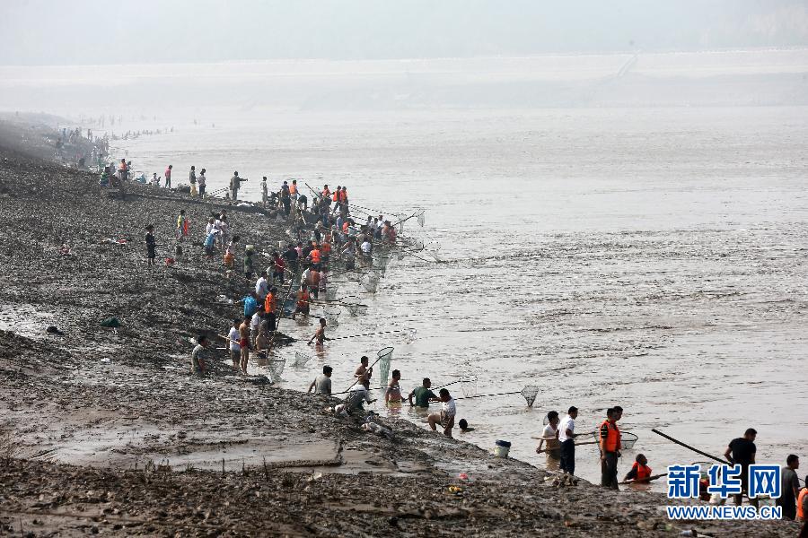 7月6日,在山西省平陸縣黃河岸邊,人們在河邊捕撈黃河“流魚”。