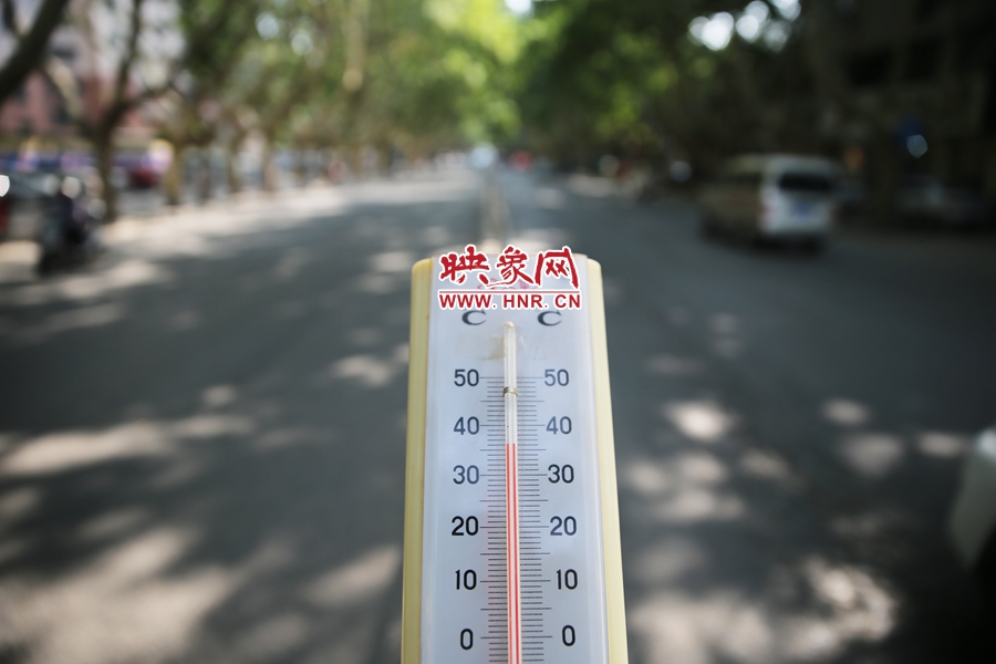 7月8日下午15時(shí)30分，人民路樹陰處溫度為36度，比人防納涼處高11度。