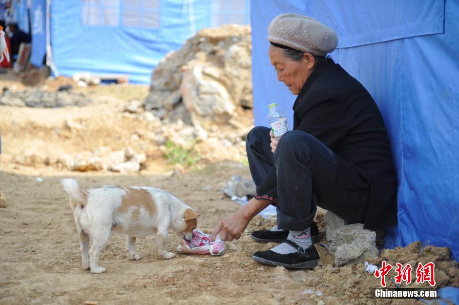 8月6日，一名老人將剛領到的礦泉水分給小狗。