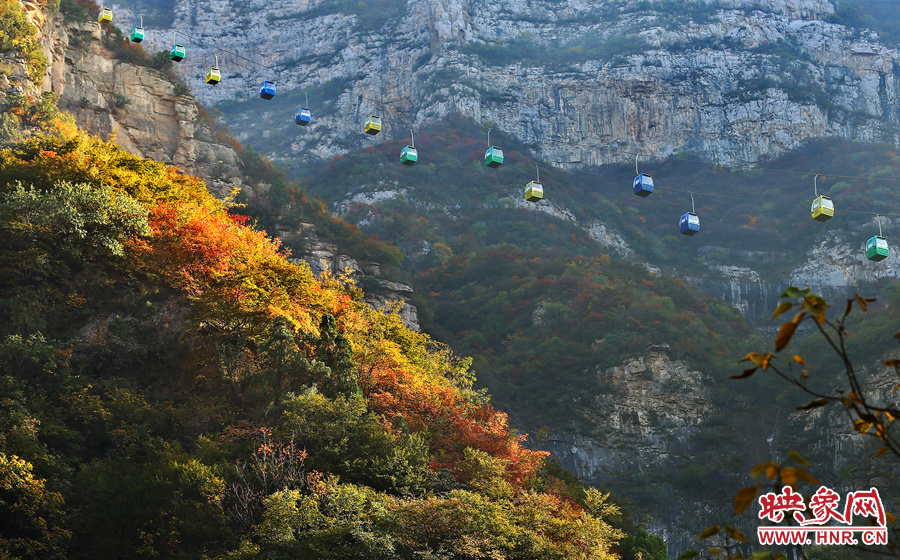 索道下的山坡，陽(yáng)光灑在色彩繽紛的樹葉上