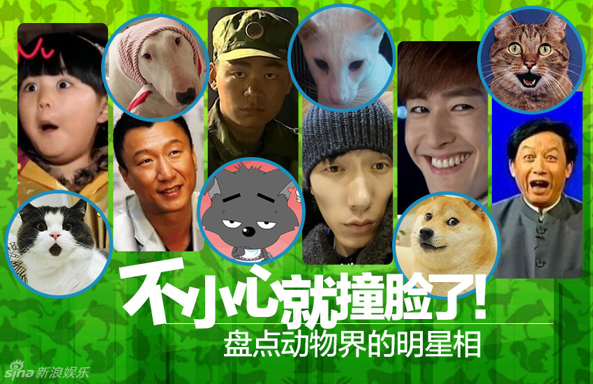不小心就撞臉了！盤點動物界的明星相