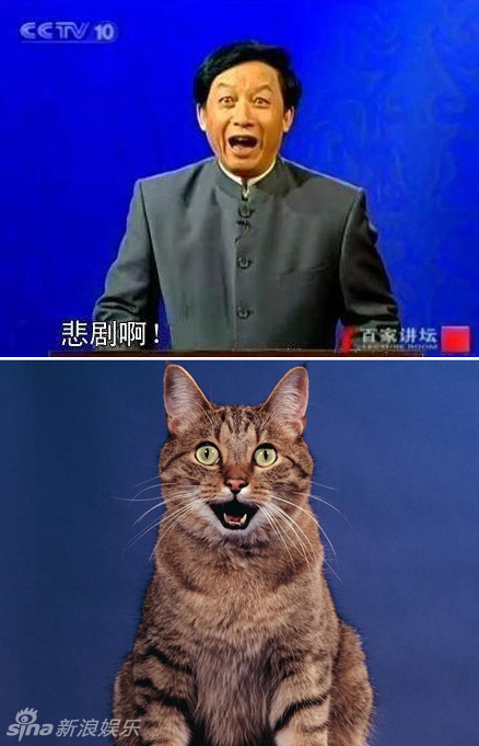 不小心就撞臉了！盤點動物界的明星相