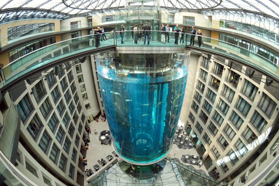在圓柱水族館主體下方，還有一些別的展館。