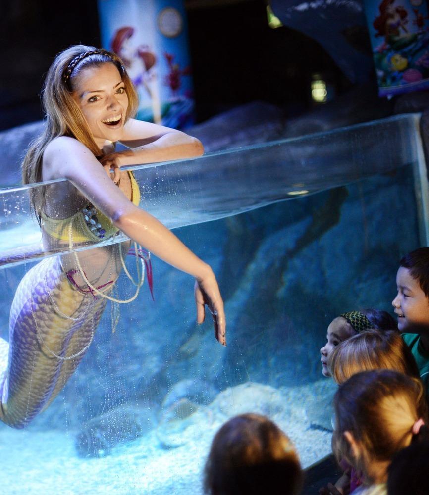 德國女演員安妮·門登在水族館里客串了一把“美人魚”，順便為她的電影《小美人魚》做宣傳。