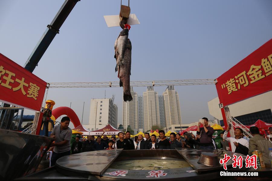 起重機(jī)吊起161.2斤魚王下鍋。 圖片來源：CFP視覺中國
