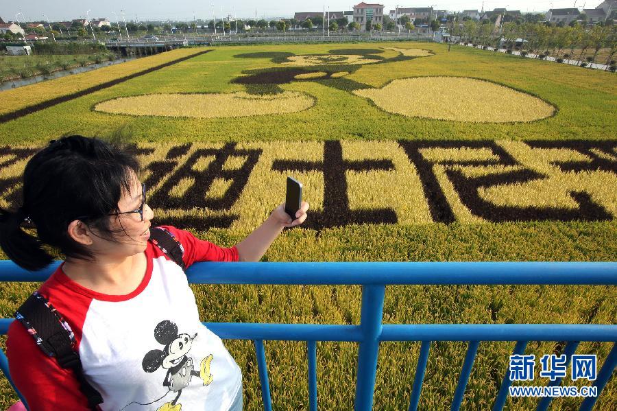 10月25日，游客在觀景臺上觀賞“米老鼠”稻田畫。