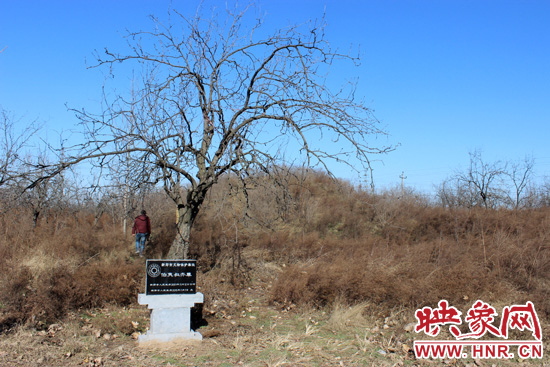 在叔齊墓的前面，豎著新鄭市人民政府今年剛立的石碑，上面寫著“新鄭市文物保護(hù)單位”。