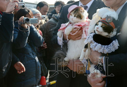 圖為粉絲們簇?fù)碇鞍⒂瘛闭鹃L（右）。左側(cè)為其部下“二玉”。