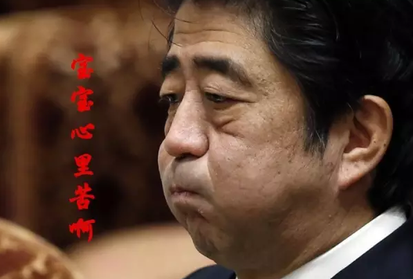 這種看安倍“熱鬧”的事兒，環(huán)環(huán)絕不私藏，一定雨露均沾!
