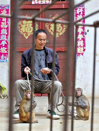 10月13日，耍猴人鮑慶山牽著從牡丹江帶回的兩只小猴在家門口玩耍。