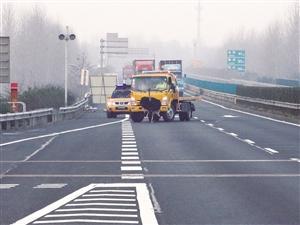 2米高鴕鳥撞破收費站護欄，高速上狂奔8公里。