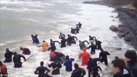 一場暴雨后，俄羅斯加里寧格勒Pionersky鎮(zhèn)，數(shù)十人潛入海水中搜尋琥珀。