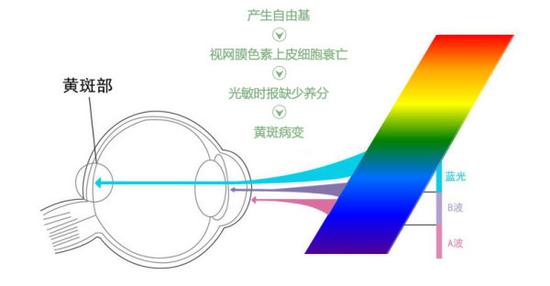 真能亮瞎眼？如何減少手機(jī)對(duì)眼睛的傷害