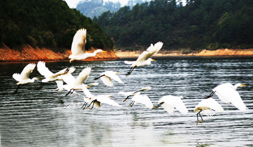 考完去哪兒？千島湖中、高考生門票大優(yōu)惠！