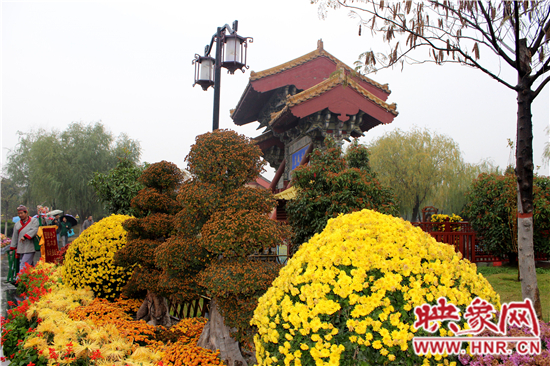 天好、花美 中國開封第32屆菊花文化節(jié)延長一周