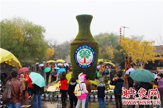 天好、花美 中國開封第32屆菊花文化節(jié)延長一周