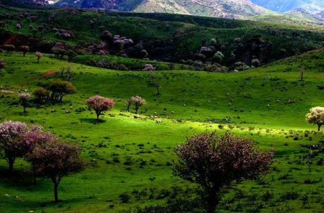 不用花錢(qián)的中國(guó)好景色 國(guó)內(nèi)8個(gè)處女風(fēng)景地 不用花錢(qián)的中國(guó)好景色 國(guó)內(nèi)8個(gè)處女風(fēng)景地