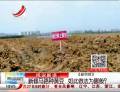 新修馬路種黃豆  如此做法為哪般？